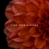 Eternal Growth 'Find Your Blossom' Aesthetic Photo Frame 3 12