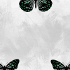 Elegant Positivity Butterfly Wall Art 5 19