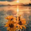 Sunrise Serenity 'Live in the Moment' Photo Frame 4 3