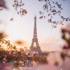 Eiffel Elegance 'Life is Beautiful' Photo Frame 5 4
