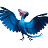 pngwing.com 16