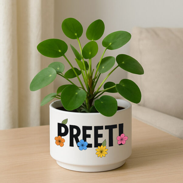 A personalized planter pot, 10 cm diameter, 7 cm height, featuring a custom design and a small succulent plant.